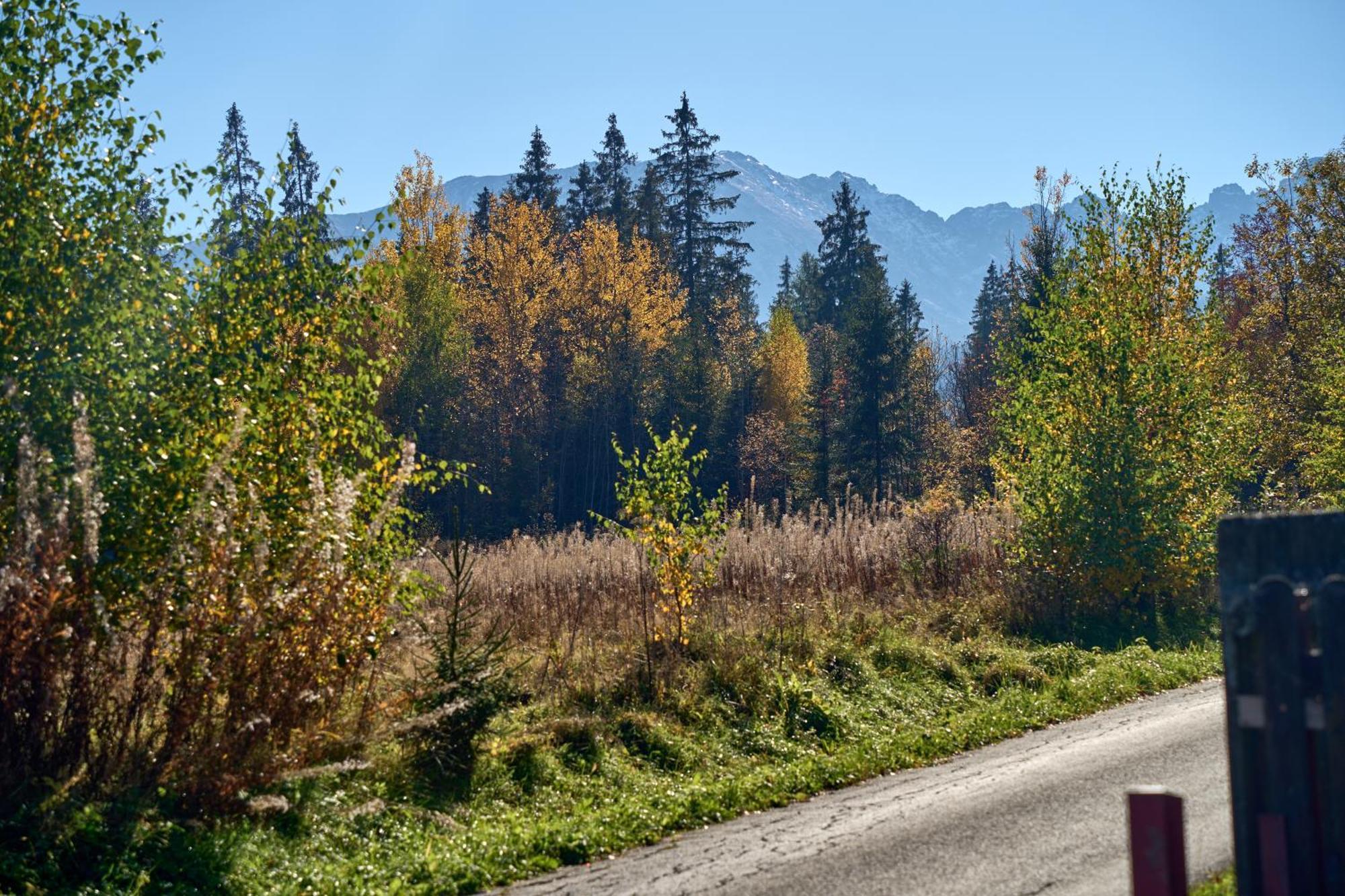 Domek Slebodny Uplaz Zakopane Luaran gambar