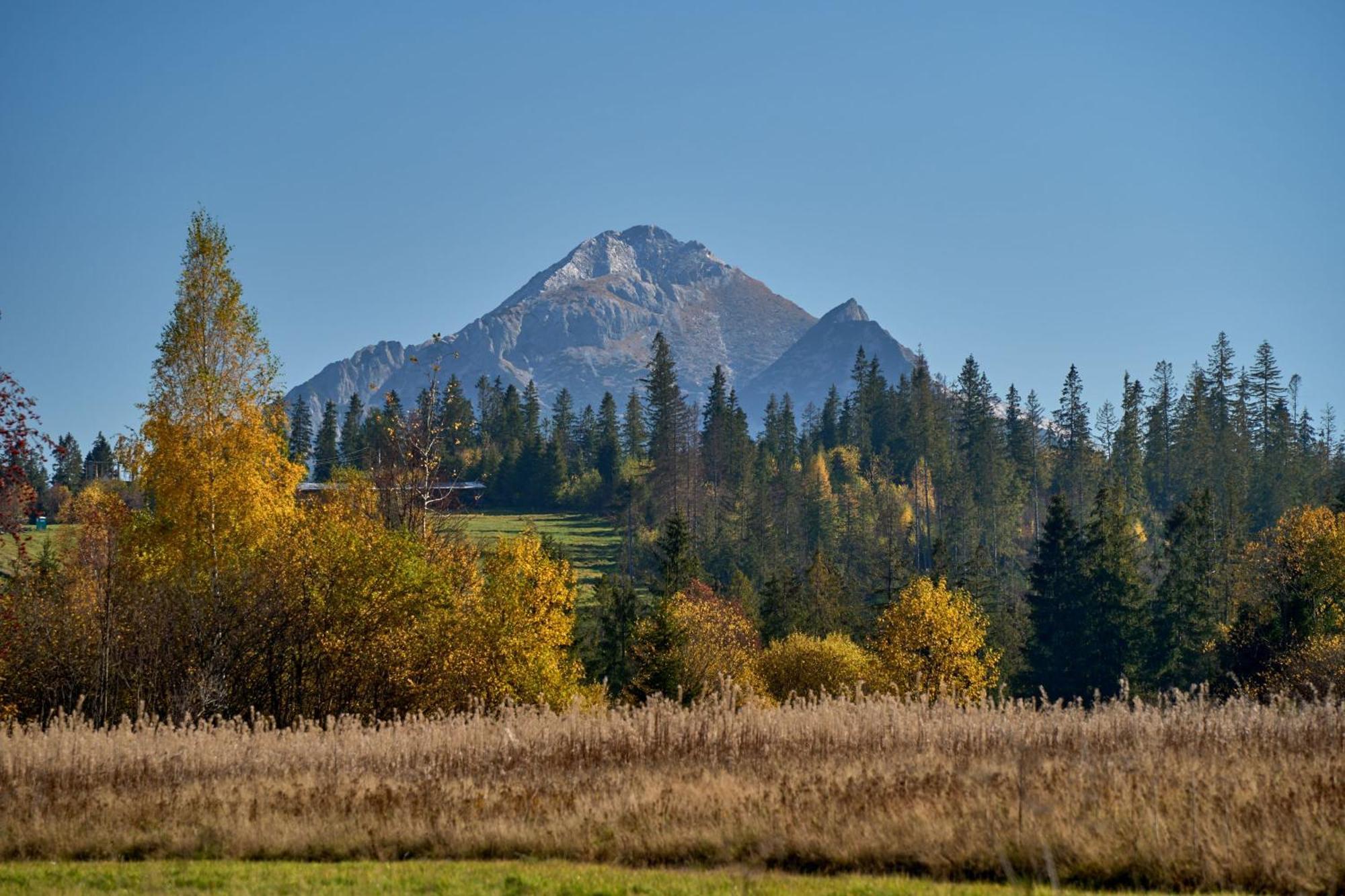 Domek Slebodny Uplaz Zakopane Luaran gambar